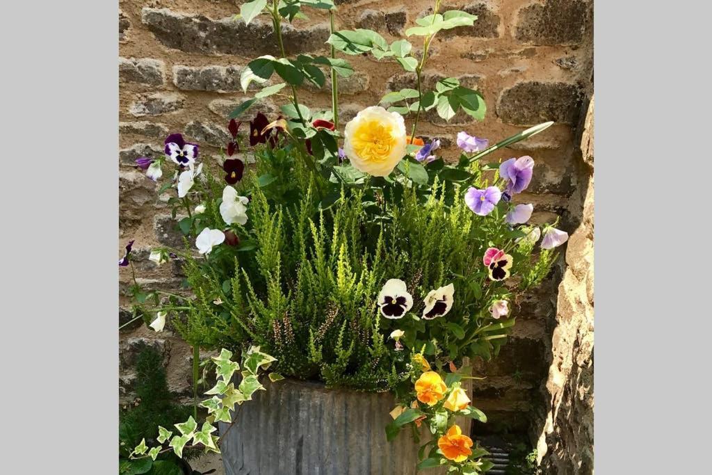 Oxfordshire Living - The Bowler Hat Cottage - ウッドストック エクステリア 写真